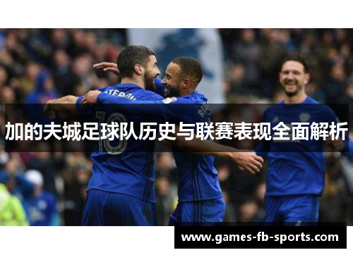 加的夫城足球队历史与联赛表现全面解析