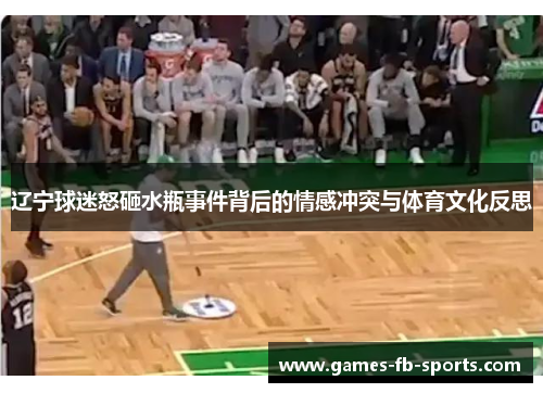 辽宁球迷怒砸水瓶事件背后的情感冲突与体育文化反思