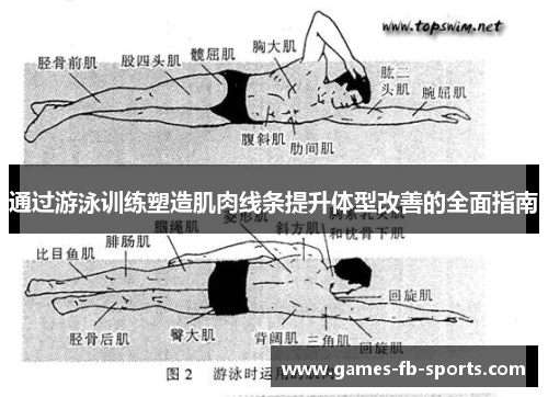 通过游泳训练塑造肌肉线条提升体型改善的全面指南